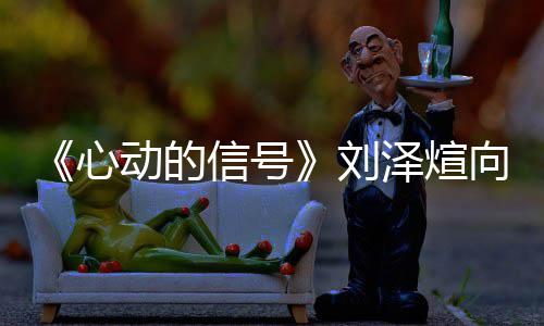 况歌互泽煊么情刘刘泽心信号向天煊ds向天歌动的撕 是什