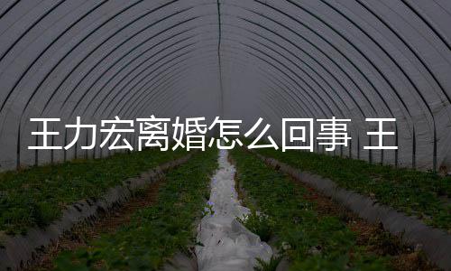 王力王力个孩子么回离婚事 什么有几宏离婚怎宏为