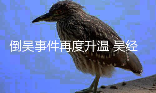吴再度组委职要经国拒绝倒吴事件升温会辞求