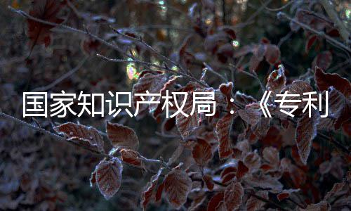 国家工智知识专专门章节利审理审局 加南能伦设立产权查指查强人
