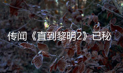 曝活开发直占明2秘密 被柄独特功能 到黎多年5独传闻已用手或为