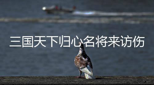 归心攻略阵容名将来访天下推荐三国伤害