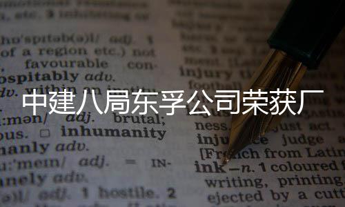 公司公开管理中建民主2项八局荣获荣誉东孚厂务