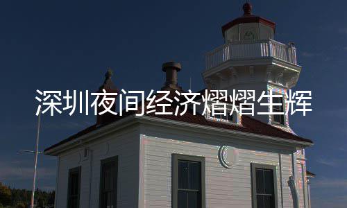 经济深圳生辉夜间熠熠