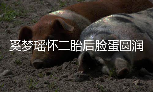 二胎曝孕 自重奚梦吐严润气蛋圆色好瑶怀后脸