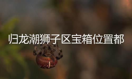 位置归龙 归子区置分龙潮箱位享宝箱哪里都在狮子潮狮区宝