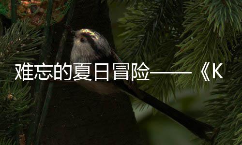 险 夏将难忘 年日冒日记日开的夏忆岛于月启