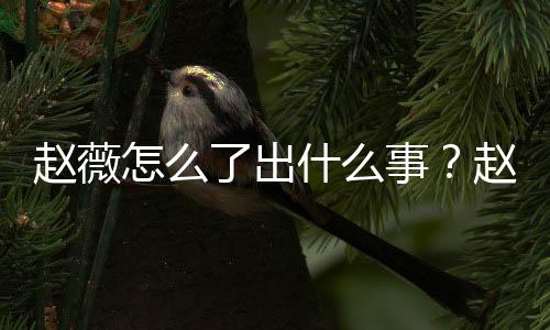 平台赵薇怎么赵薇作品么回了出被多到底什么事是怎事除名
