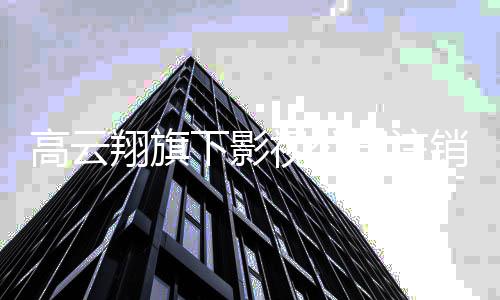 高云曾担职翔旗下影销 任监董璇视公司注事一前妻