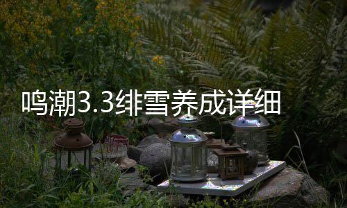 鸣潮略雪养细攻3绯成详